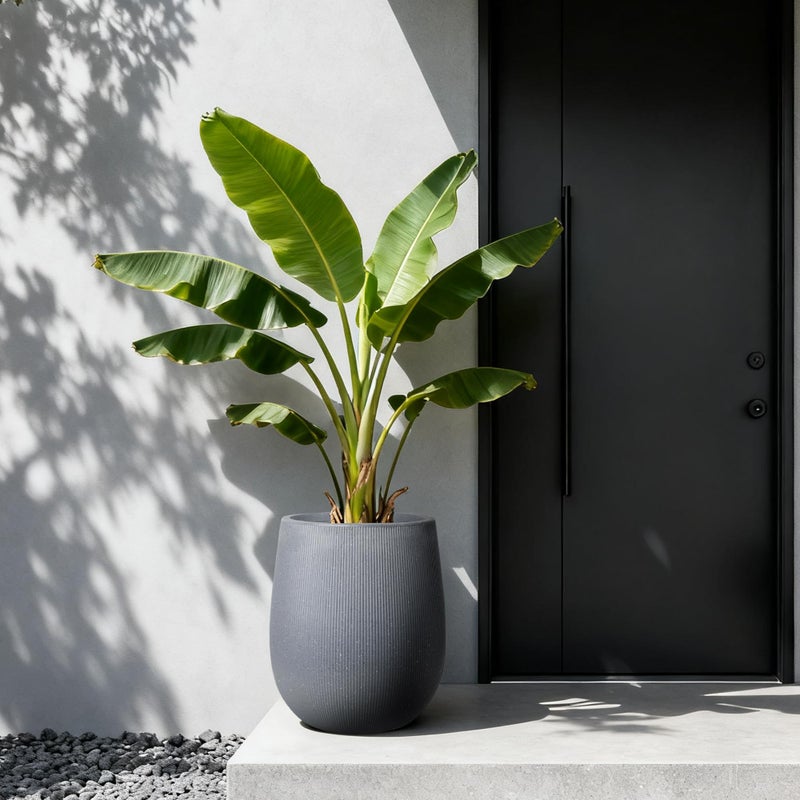 Worth Garden Large Dark Gray Round Planter, 12.5" x 18.5" Lightweight Magnesium Oxide Cement Plant Pot with a Striped Textured Finish, Raised Pattern Concrete Look, Drainage Hole, Indoor & Outdoor - Image 5