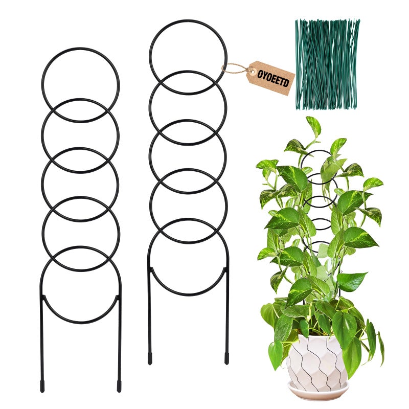 OYOEETD 17.5 Inch Plant Trellis Indoor for Climbing Plants,Metal Trellis,Small Garden Trellis for Potted Plants,Plant Stakes for Indoor Plants Accessories Hoya,Flower,Plant Support,Plant Gifts(Circular-Metal) - Image 1