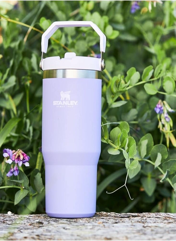 Stanley - STANLEY IceFlow Stainless Steel Tumbler with Straw - Vacuum Insulated Water Bottle for Home, Office or Car - Reusable Cup with Leak-Resistant Flip Straw, Keeps Drinks Cold for 12 Hours or Iced for 2 Days, 30 oz Lavender - Image 1