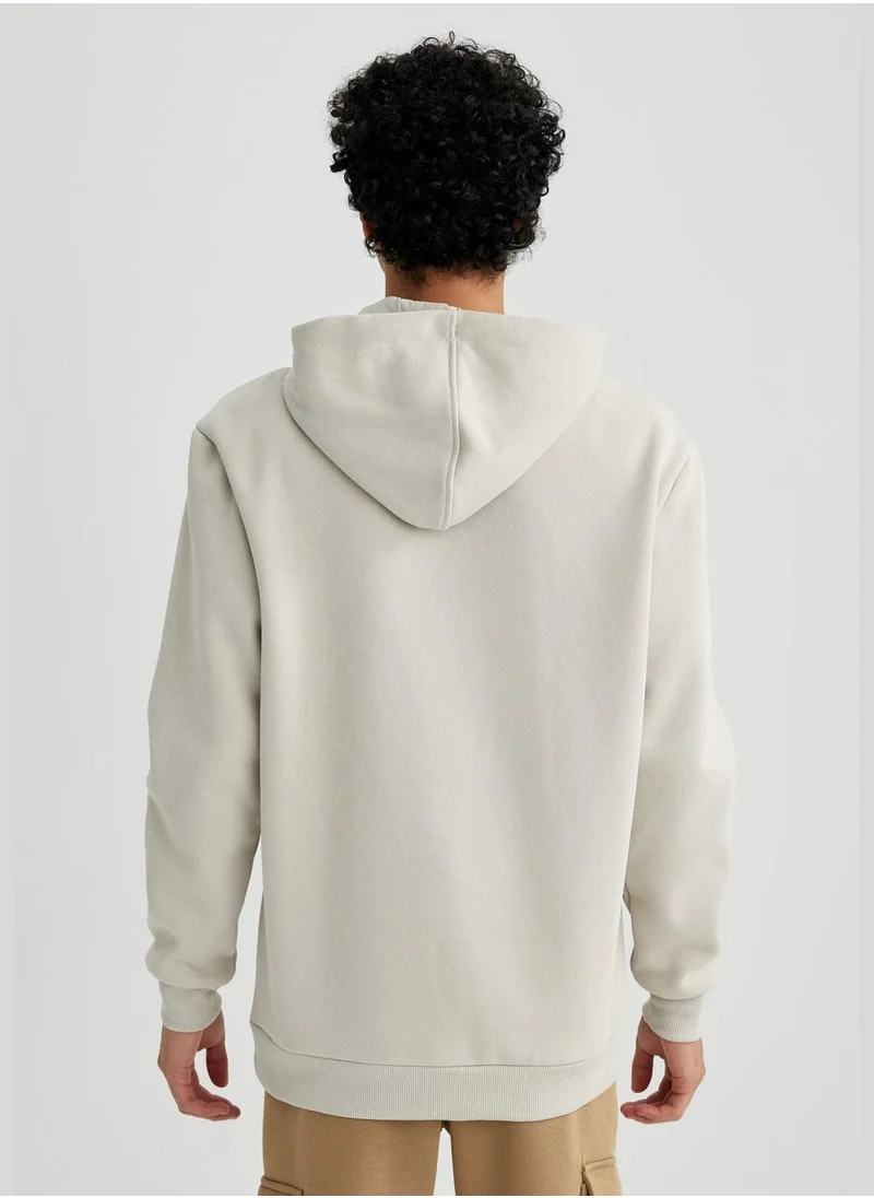 DeFacto Man Hooded Knitted Sweatshirt
