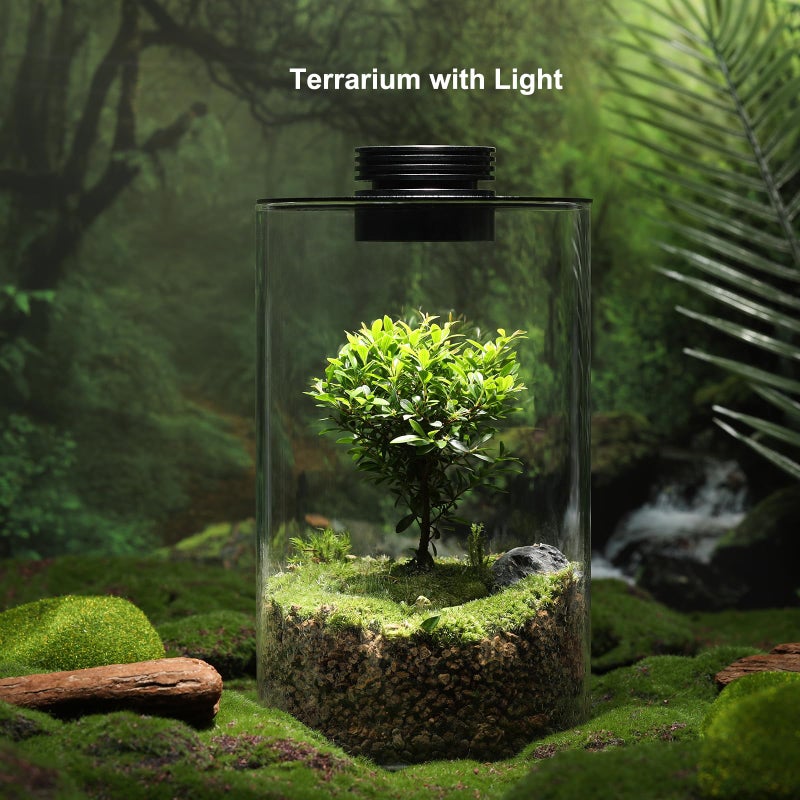 AREPK Desktop Glass Plant Terrarium with Grow Light (H:9.8" D:5.9"), for Succulent, Moss, Miniature Gardening Landscape, Betta Fish Tank, Office Home Decoration, Plant Lovers Gifts - Image 2