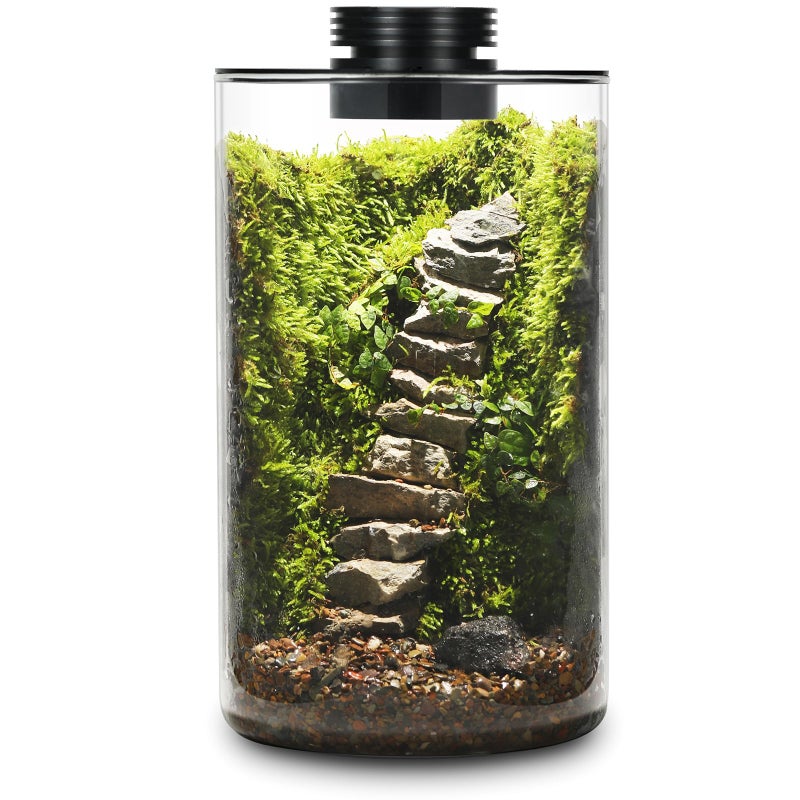 AREPK Desktop Glass Plant Terrarium with Grow Light (H:9.8" D:5.9"), for Succulent, Moss, Miniature Gardening Landscape, Betta Fish Tank, Office Home Decoration, Plant Lovers Gifts - Image 1