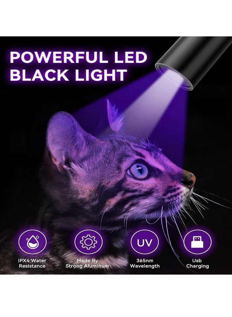 UV Black Light Flashlight, 365nm Portable Handheld Blacklight Flashlights, Mini Ultraviolet Flashlight for Pet Fungus Detection, Cat Ringworm, Doctor Pet Urine Detector - Image 2
