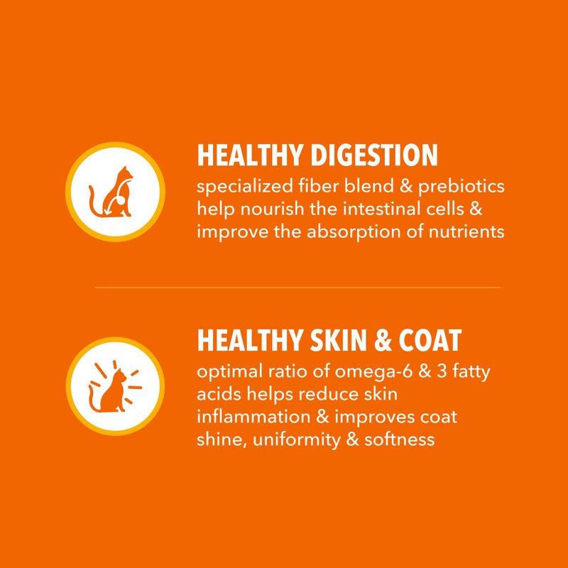 IAMS Proactive Health Adult Healthy Dry Cat Food with Real Salmon, 7 lb. Bag - Image 5