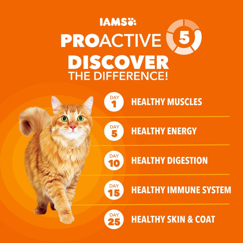 IAMS Proactive Health Adult Healthy Dry Cat Food with Real Salmon, 7 lb. Bag - Image 3