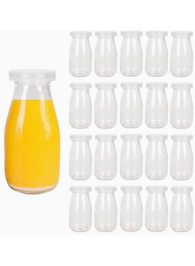 Generic Clear Glass Jar With Pe Lid 100Ml 5X5X 9 Cm Set Of 12  Pieces  - Image 2