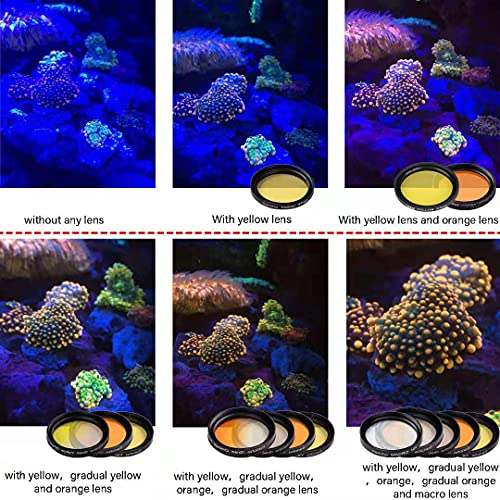 Saricho Coral Lens Set, Smartphone Reef Lens Kits, 1 Dust Case, 2 Clips, 8 Lenses: Yellow, Orange, Gradual Yellow Orange Pink, Star6, CPL, Macro - Image 5