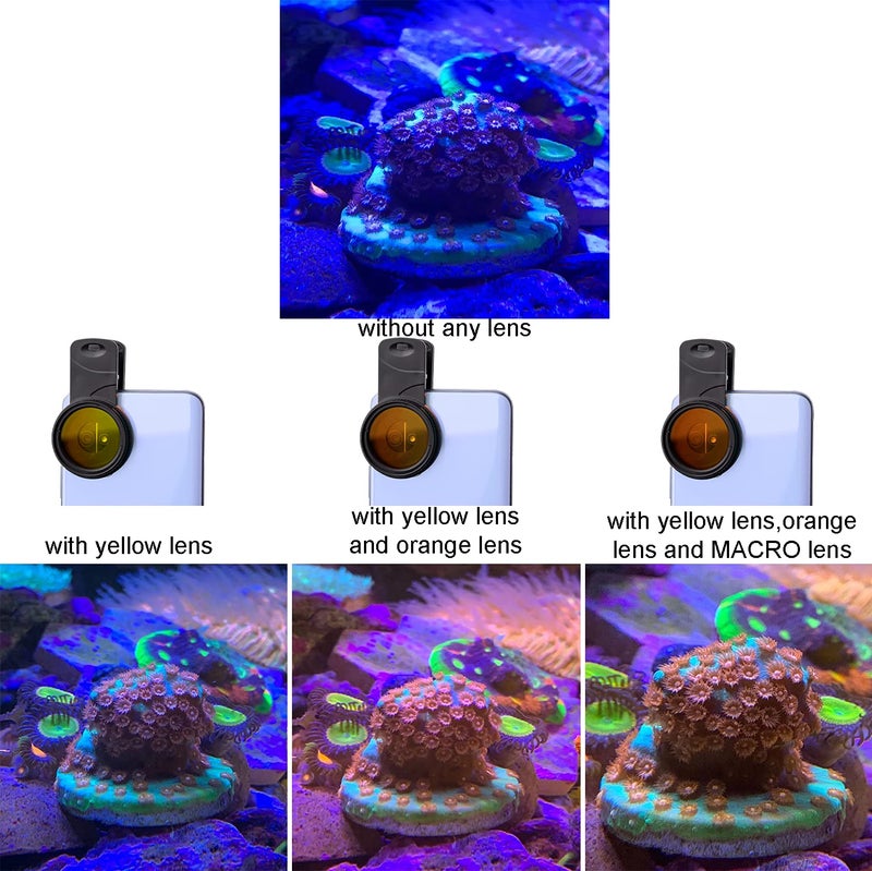 Saricho Coral Lens Set, Smartphone Reef Lens Kits, 1 Dust Case, 2 Clips, 8 Lenses: Yellow, Orange, Gradual Yellow Orange Pink, Star6, CPL, Macro - Image 4