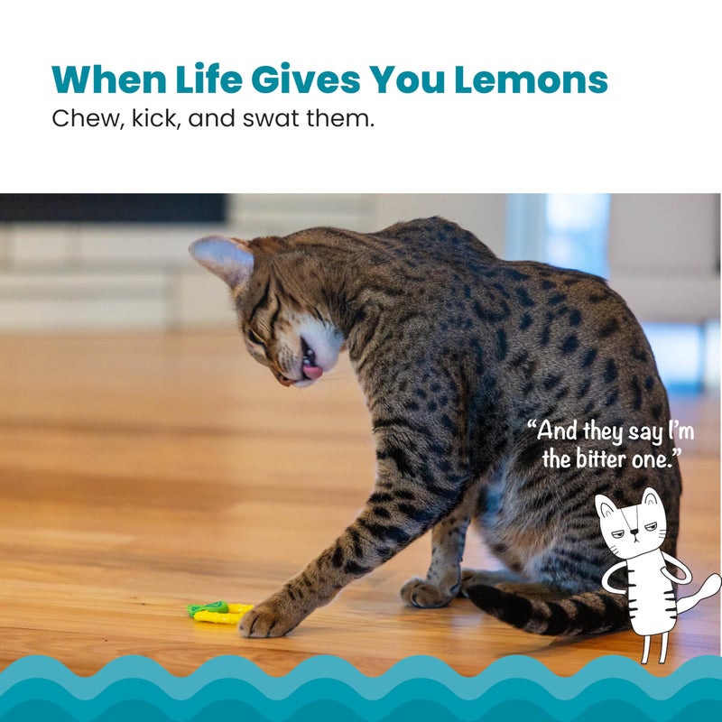 Catstages Dental Lemon Teether, Soft and Textured Cat Chew Toy, Catnip Oil Coating, Yellow - Image 2