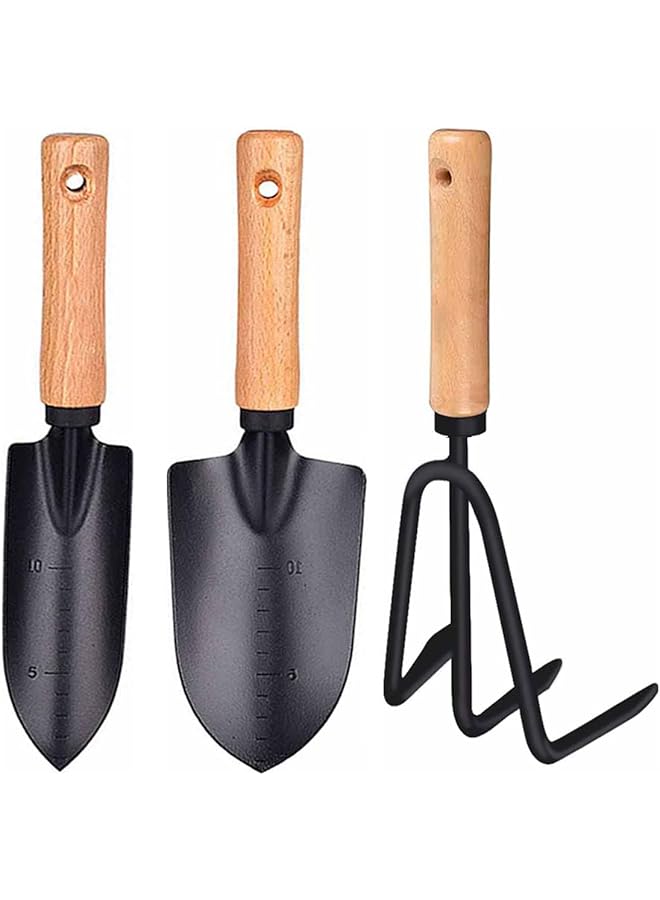 PROMASS 3 Pieces Garden Tools Set-Garden Rake Trowel, Gardening Tools with Wood Handle,Iron Crafts Gardening Work Kit with Solid Wood Ergonomic Handle Tools Succulent Gift Set Outdoor Gardening Tools(Black) - Image 1