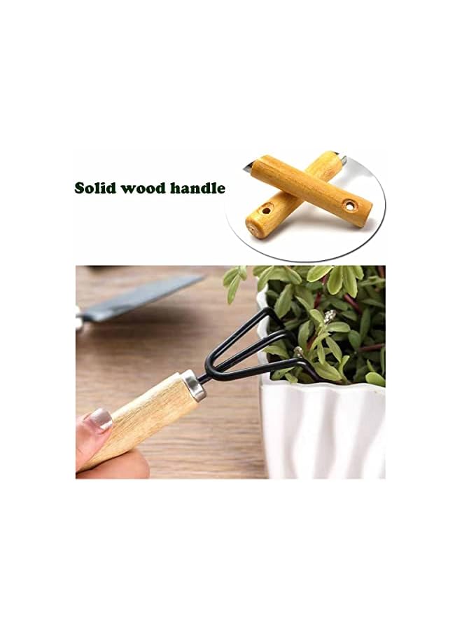 PROMASS 3 Pieces Garden Tools Set-Garden Rake Trowel, Gardening Tools with Wood Handle,Iron Crafts Gardening Work Kit with Solid Wood Ergonomic Handle Tools Succulent Gift Set Outdoor Gardening Tools(Black) - Image 5
