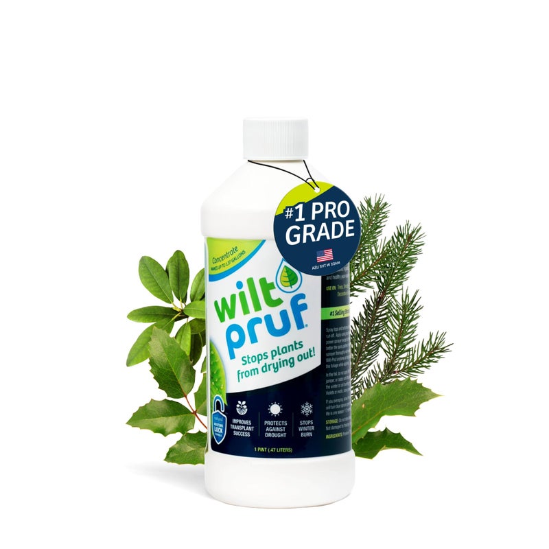 Wilt-PrufÂ® Concentrate | Protect Against Winter Damage, Drought, and Stress | Just Spray & Let Dry | Locks in Moisture w/Clear Foliar Film | Professional-Grade & Trusted | Replaces Burlap | (16 oz) - Image 1