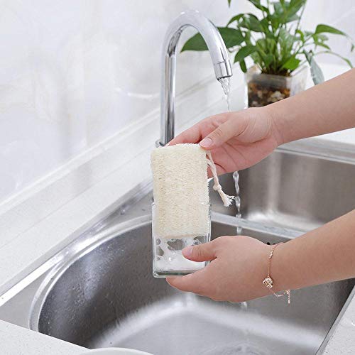 Tegelrying Loofah Sponge Exfoliating,6 Packs Natural Loofa Large Back Scrubber for Men Women Bath Shower Body Skin Care Cleansing Luffa 5 inches Long - Image 3