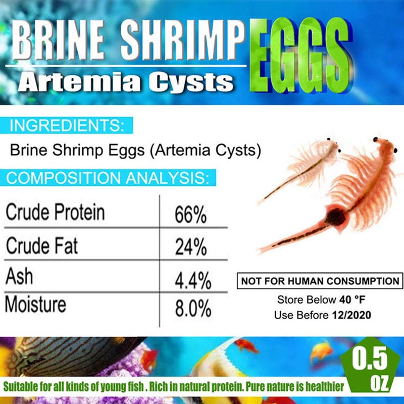 BNYEE Brine Shrimp Eggs for Aquatic Foods Baby & Fry Foods The Popular 90% Hatch GSL Brine Shrimp Eggs (0.5 OZ) - Image 2