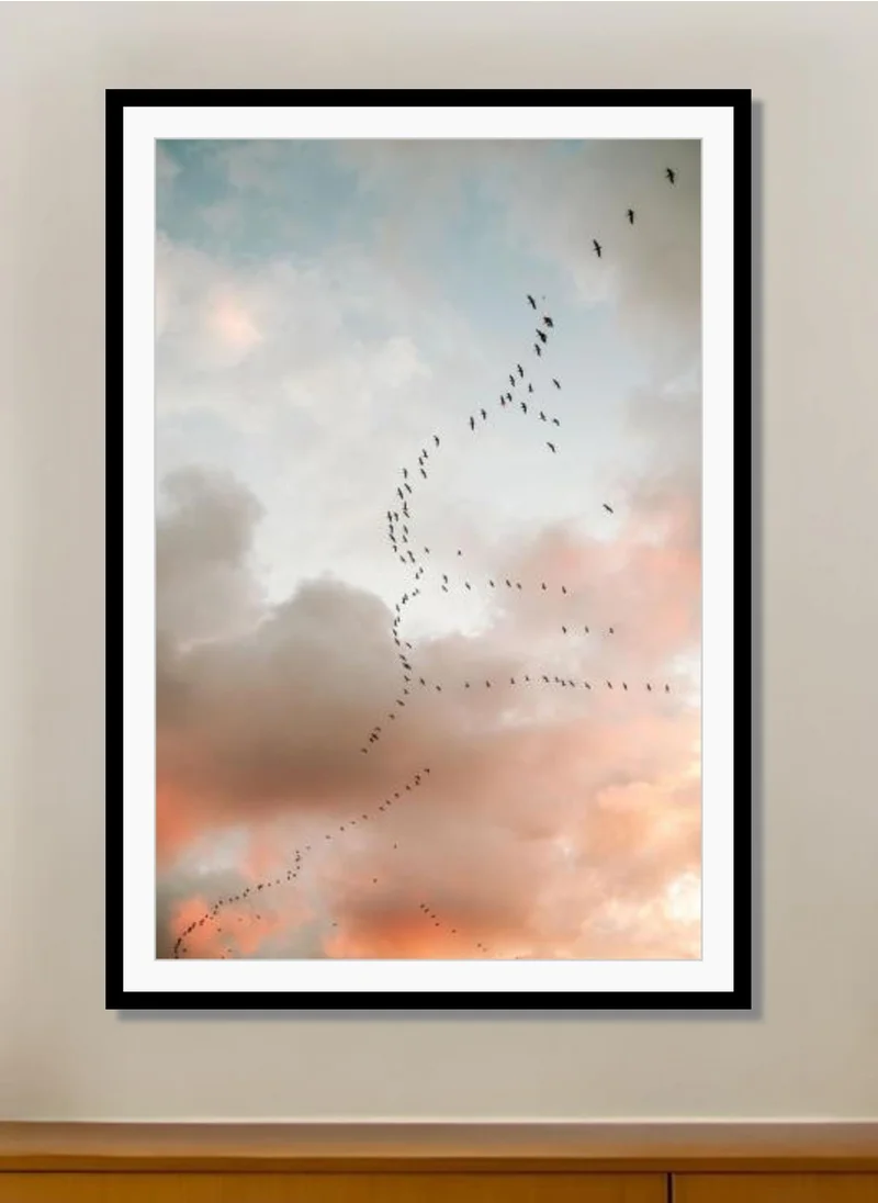 Drawdeck Birds Of Paradise