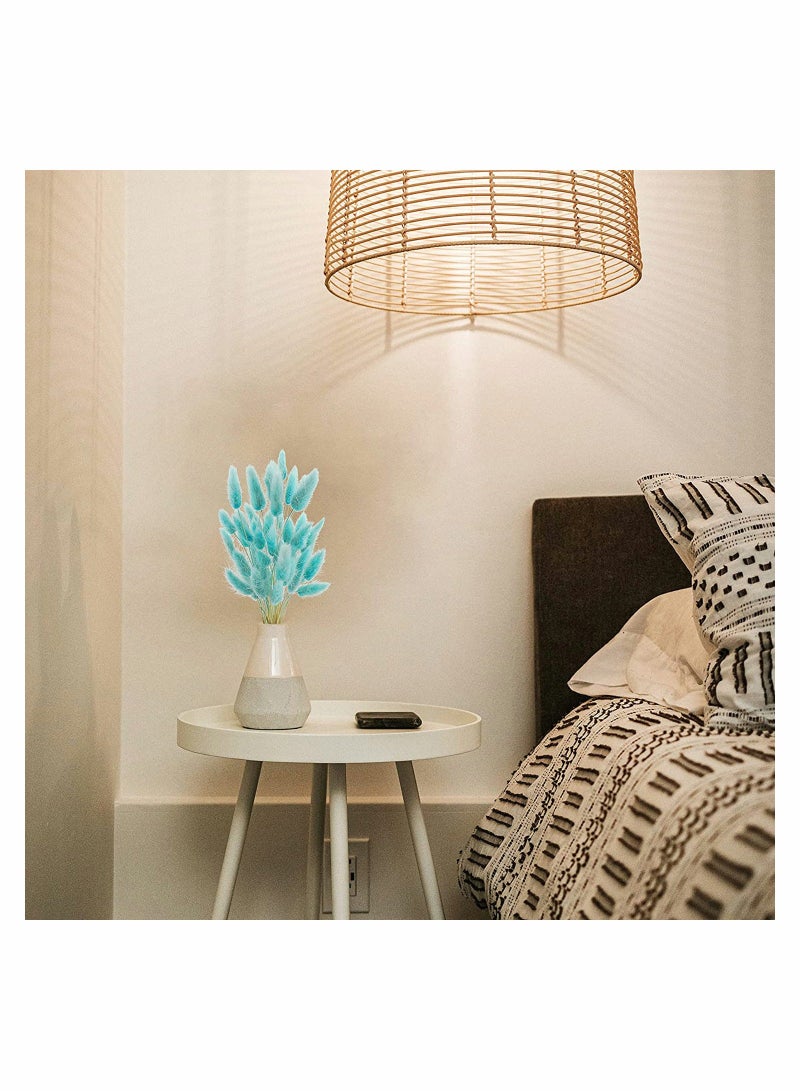 Natural Bunny Tails Dried Flowers, 70 Pcs Dried Lagurus Ovatus, Dried Pampas Grass Decor for Farmhouse Flower Arrangements Wedding Home Boho Party Decorations(Tiff Blue) - Image 3