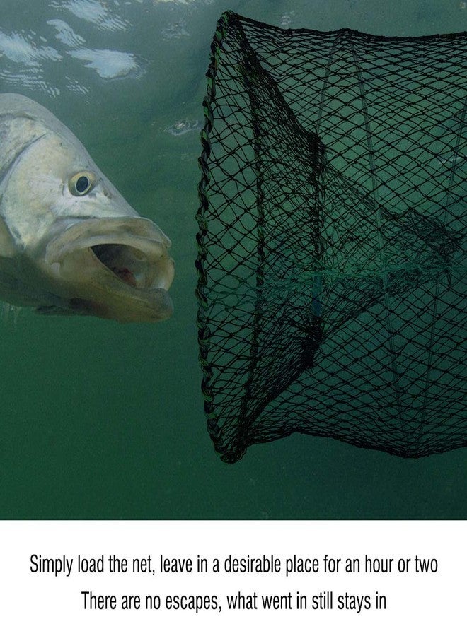 Pilipane Collapsible Fishing Bait Trap, Foldable Fishing Net Crab Crawfish Shrimp Lobster Minnow Trap with Rope Portable Mesh Net for Saltwater Freshwater Fishing (d 25cm) - Image 4