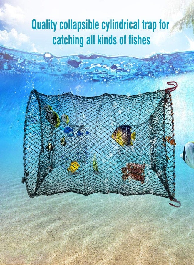 Pilipane Collapsible Fishing Bait Trap, Foldable Fishing Net Crab Crawfish Shrimp Lobster Minnow Trap with Rope Portable Mesh Net for Saltwater Freshwater Fishing (d 25cm) - Image 3