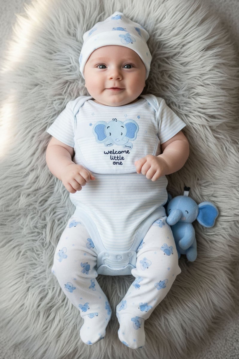Rock-A-Bye Baby Boutique Toddlers Boy 10 Pieces Bodysuit And Pants Hanging Gift Set, Multicolor - Image 1