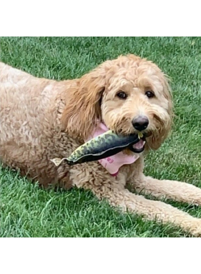 Spunky Pup Fly & Fetch Dog Toy - Durable, Floating, Interactive Bungee Launcher for Fetch and Water Play, Plush Fish - Image 3