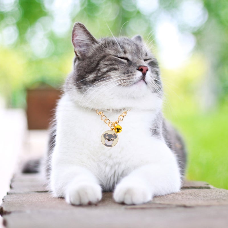 Pet Cat Jewelry Collar Cat Collar Pet Dog Necklace Cat Neck Wearing Chain - Image 1