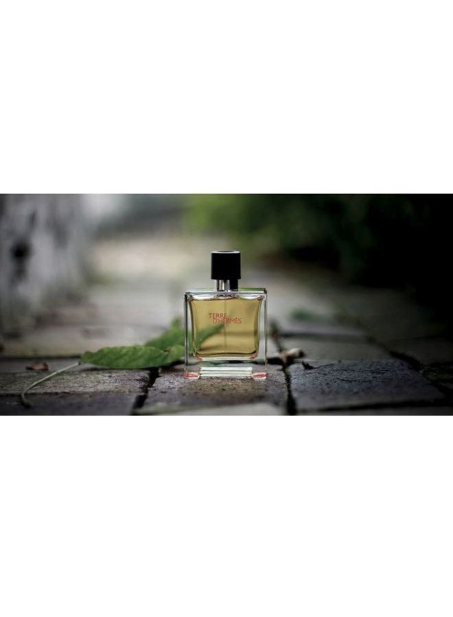 HERMES Terre D'Hermes Parfum 75ml - Image 4