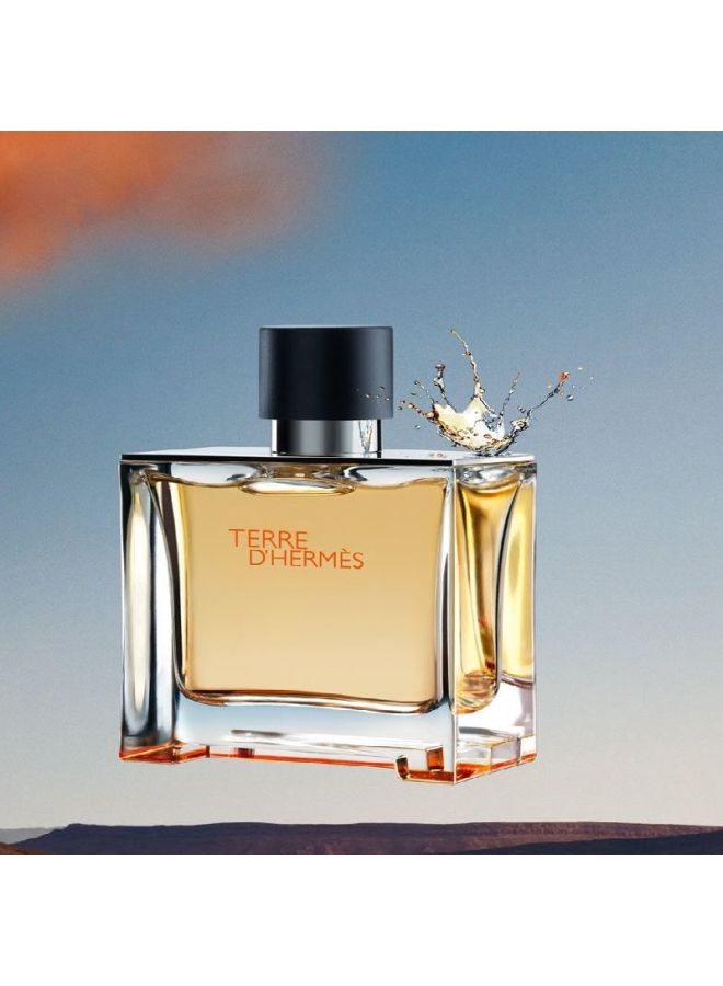 HERMES Terre D'Hermes Parfum 75ml - Image 5