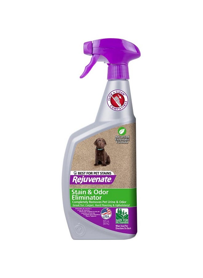 Rejuvenate Carpet & Upholstery Spot Remover Stain Cleaner BioEnzymatic Professional Strength Urine Remover Dog Cat Stain And Pet Odor Eliminator ReadyToUse  - Image 1