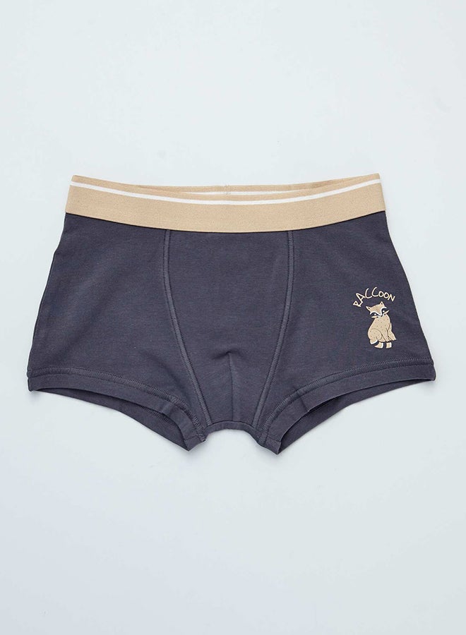 Kiabi Boy Pack Of 3 Pairs Of Printed Boxer Shorts  - Image 4