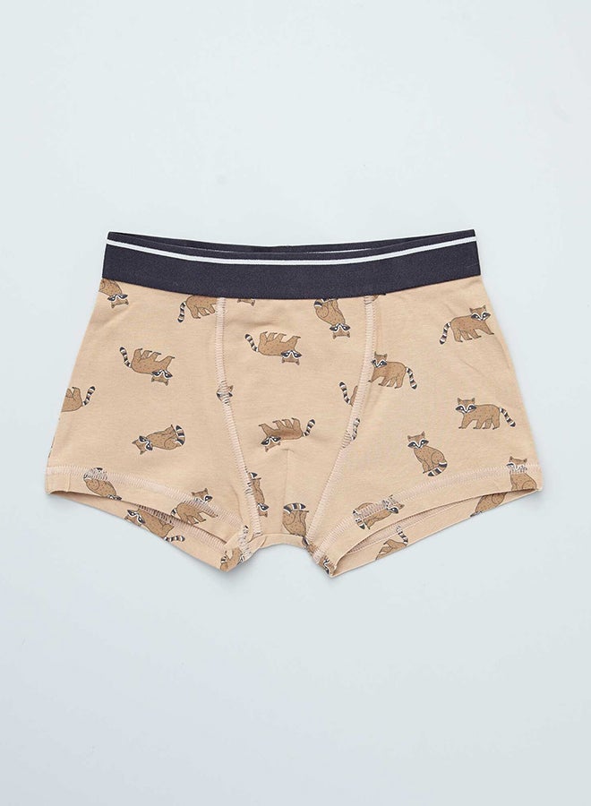 Kiabi Boy Pack Of 3 Pairs Of Printed Boxer Shorts  - Image 3