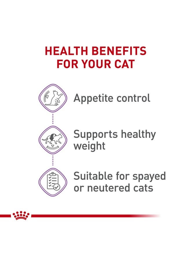 Royal Canin Feline Care Nutrition Appetite Control Thin Slices in Gravy Wet Cat Food, 3 oz can (24-count) - Image 3