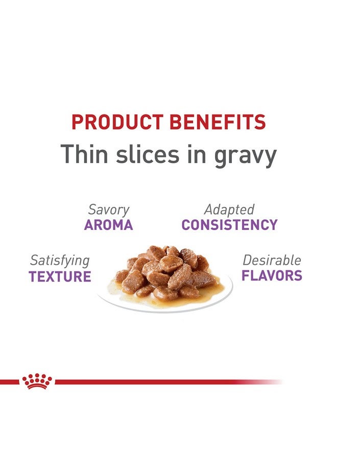 Royal Canin Feline Care Nutrition Appetite Control Thin Slices in Gravy Wet Cat Food, 3 oz can (24-count) - Image 2