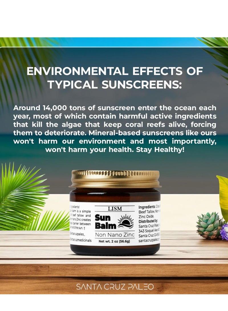 LISM Santa Cruz Paleo Beef Tallow and Zinc Sun Balm - Image 4