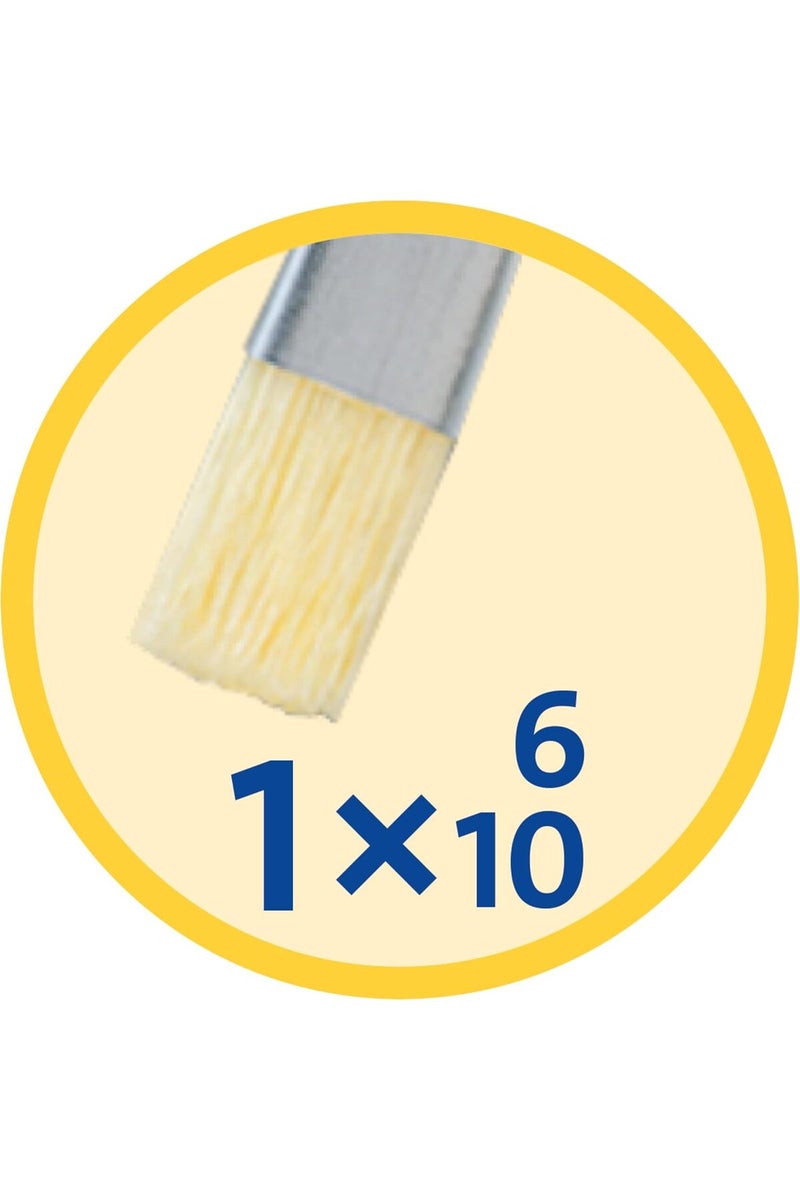 بيليكان Pelikan 5‑Piece Starter Paint Brush Set 718163 – Mixed Hair & Bristle Brushes for School & Hobby Painting - Image 3