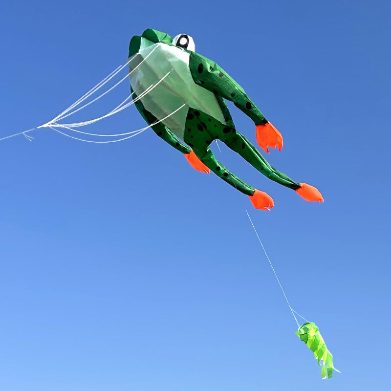 HENGDA KITE 3D Frog Kite for Kids and Adults,Easy to Fly,Excellent Fabric and Structure Design,Huge Frameless Soft Parafoil Giant Kites - Image 4