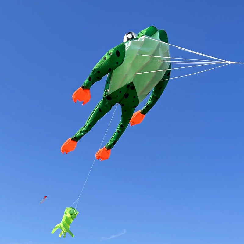 HENGDA KITE 3D Frog Kite for Kids and Adults,Easy to Fly,Excellent Fabric and Structure Design,Huge Frameless Soft Parafoil Giant Kites - Image 3