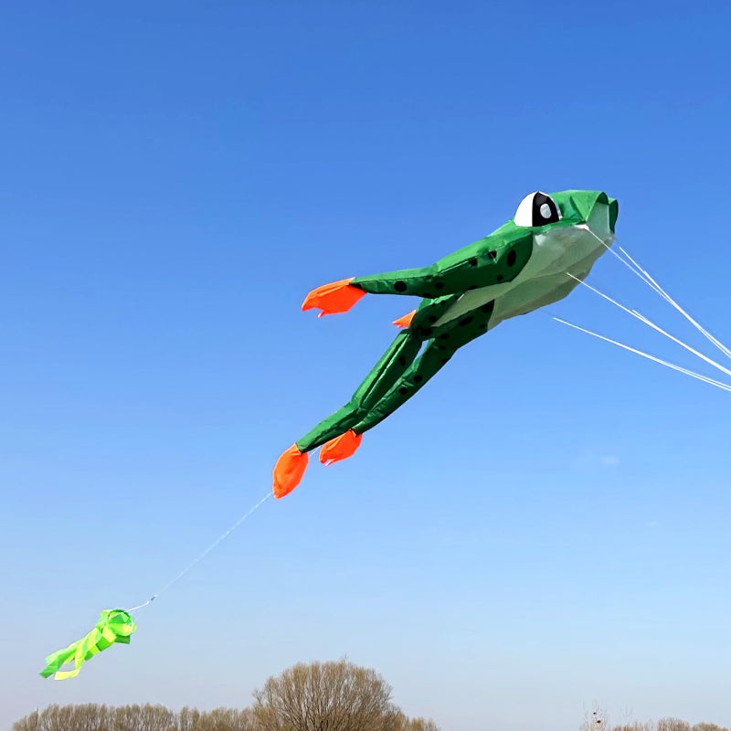 HENGDA KITE 3D Frog Kite for Kids and Adults,Easy to Fly,Excellent Fabric and Structure Design,Huge Frameless Soft Parafoil Giant Kites - Image 5