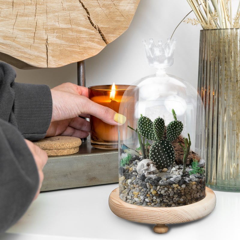 Preserved Flowers Glass Cover Immortal Flower Glass Cover Glass Dome with Base - Image 4