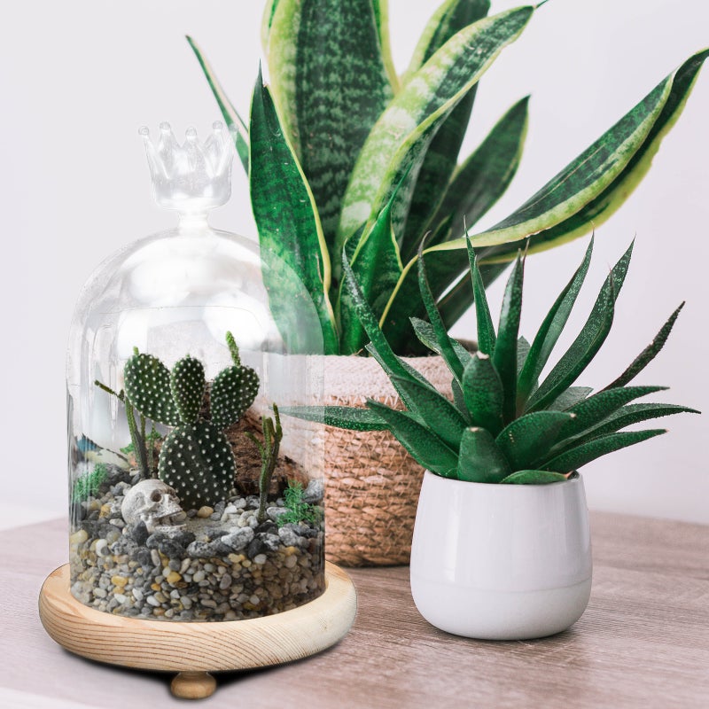 Preserved Flowers Glass Cover Immortal Flower Glass Cover Glass Dome with Base - Image 3