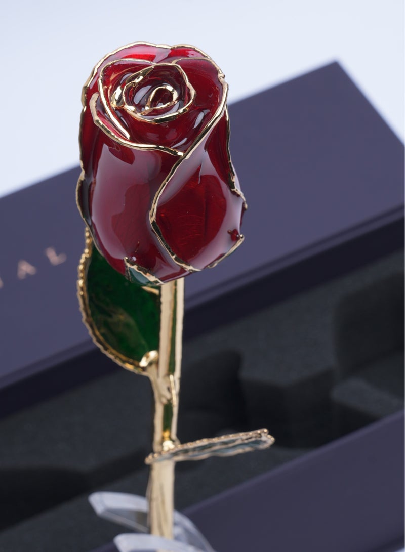 Forever Rose Real 24K Gold Rose,AliveRose Gold Dipped Rose,Gift for Her mom Wife Mother Day Anniversary Valentines Day - Image 1