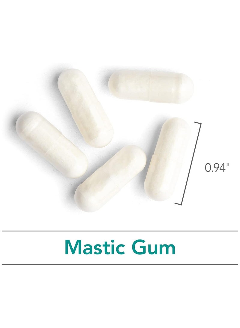 Nutricology - Mastic Gum 240 Vegetarian Capsules - Image 1