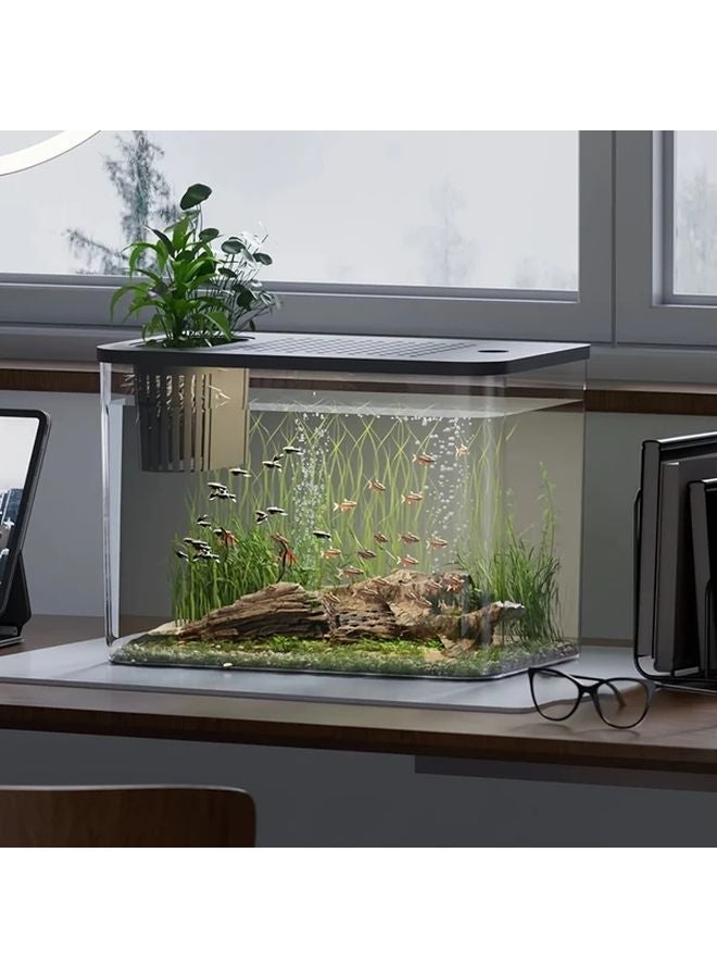 حوض أسماك أسود شفاف صغير مع غطاء، مشهد دقيق لأسماك البيتا على سطح المكتب - Image 2