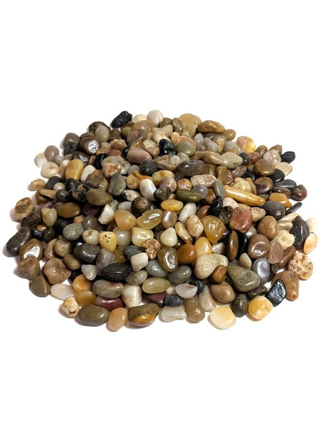 ميدويست هيرث حصى مصقولة ومزخرفة من ميدويست هيرث، مقاس 3/8 بوصة - (كيس وزنه 2 رطل) - Image 3