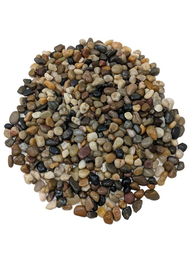 ميدويست هيرث حصى مصقولة ومزخرفة من ميدويست هيرث، مقاس 3/8 بوصة - (كيس وزنه 2 رطل) - Image 2