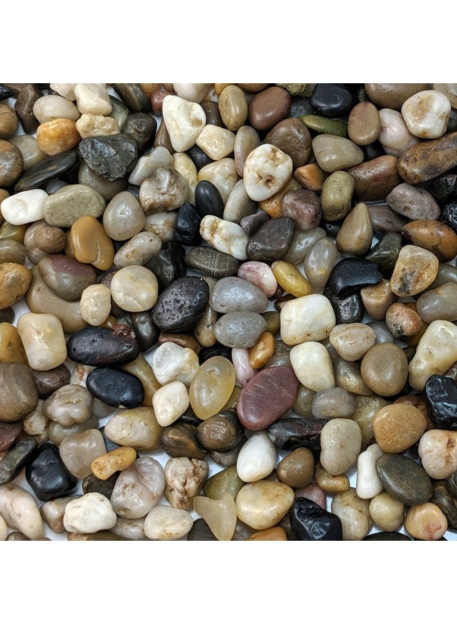 ميدويست هيرث حصى مصقولة ومزخرفة من ميدويست هيرث، مقاس 3/8 بوصة - (كيس وزنه 2 رطل) - Image 1