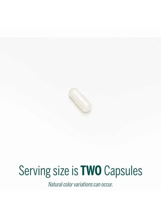 Genestra Brands V-Enzymes | Vegan Digestive Support to Help Lactose Digestion | 60 Capsules - Image 3