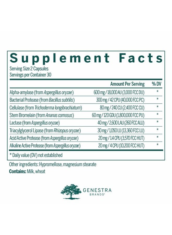 Genestra Brands V-Enzymes | Vegan Digestive Support to Help Lactose Digestion | 60 Capsules - Image 2