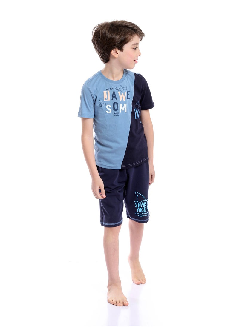 Boys Summer Cotton Tee & Shorts Pajama Set - Baby Blue & Navy Blue - pzsku/Z8CE06B64DFF93A0A5463Z/45/_/1720105223/cbf356d3-dac0-427d-b34a-7beaff2c80b7