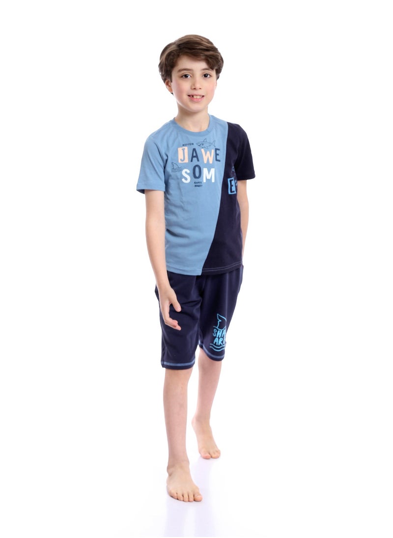 Boys Summer Cotton Tee & Shorts Pajama Set - Baby Blue & Navy Blue - pzsku/Z8CE06B64DFF93A0A5463Z/45/_/1720105235/9c5dbd6e-4402-4535-ac72-d782e6a0c4dc