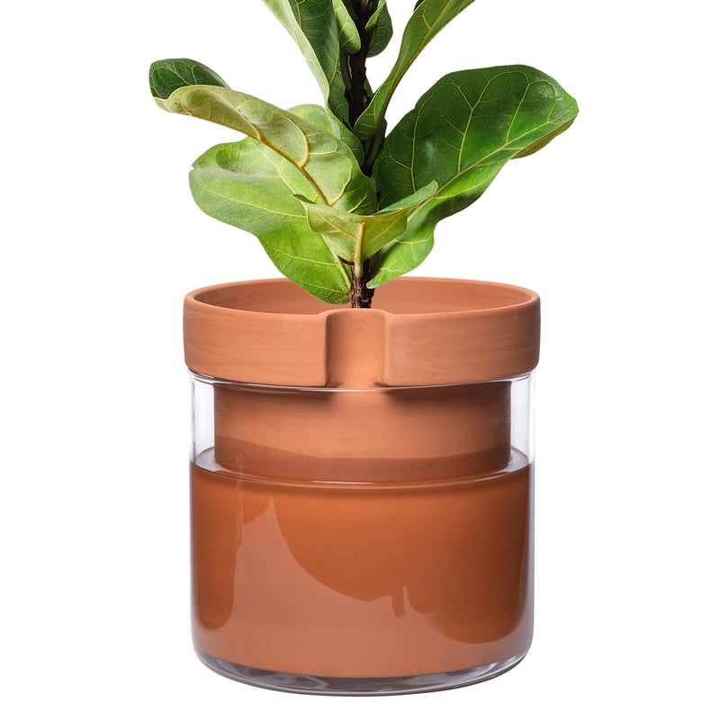 Phoenix Vine 10 Inch Self Watering Planter Pot, Terracotta Clay Pot with Glass Reservoir for Indoor Plants, Herbs, Flowers, Set of 1, 52-A-I-1 - Image 1